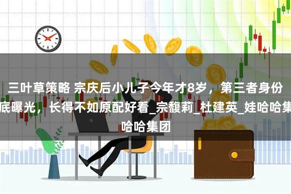 三叶草策略 宗庆后小儿子今年才8岁，第三者身份彻底曝光，长得不如原配好看_宗馥莉_杜建英_娃哈哈集团