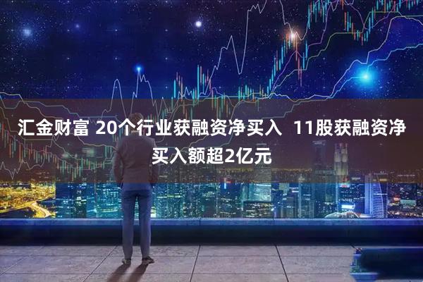 汇金财富 20个行业获融资净买入  11股获融资净买入额超2亿元