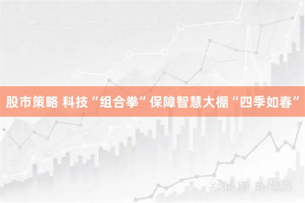 股市策略 科技“组合拳”保障智慧大棚“四季如春”