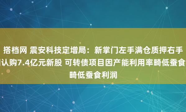 搭档网 震安科技定增局：新掌门左手满仓质押右手包圆认购7.4亿元新股 可转债项目因产能利用率畸低蚕食利润