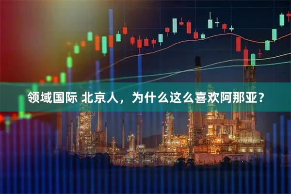 领域国际 北京人，为什么这么喜欢阿那亚？